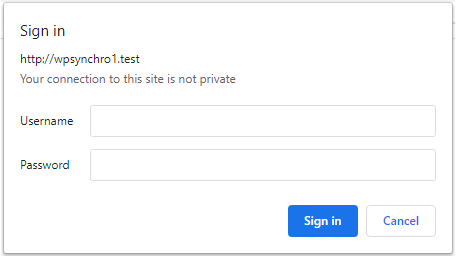 Basic Authentication in Chrome